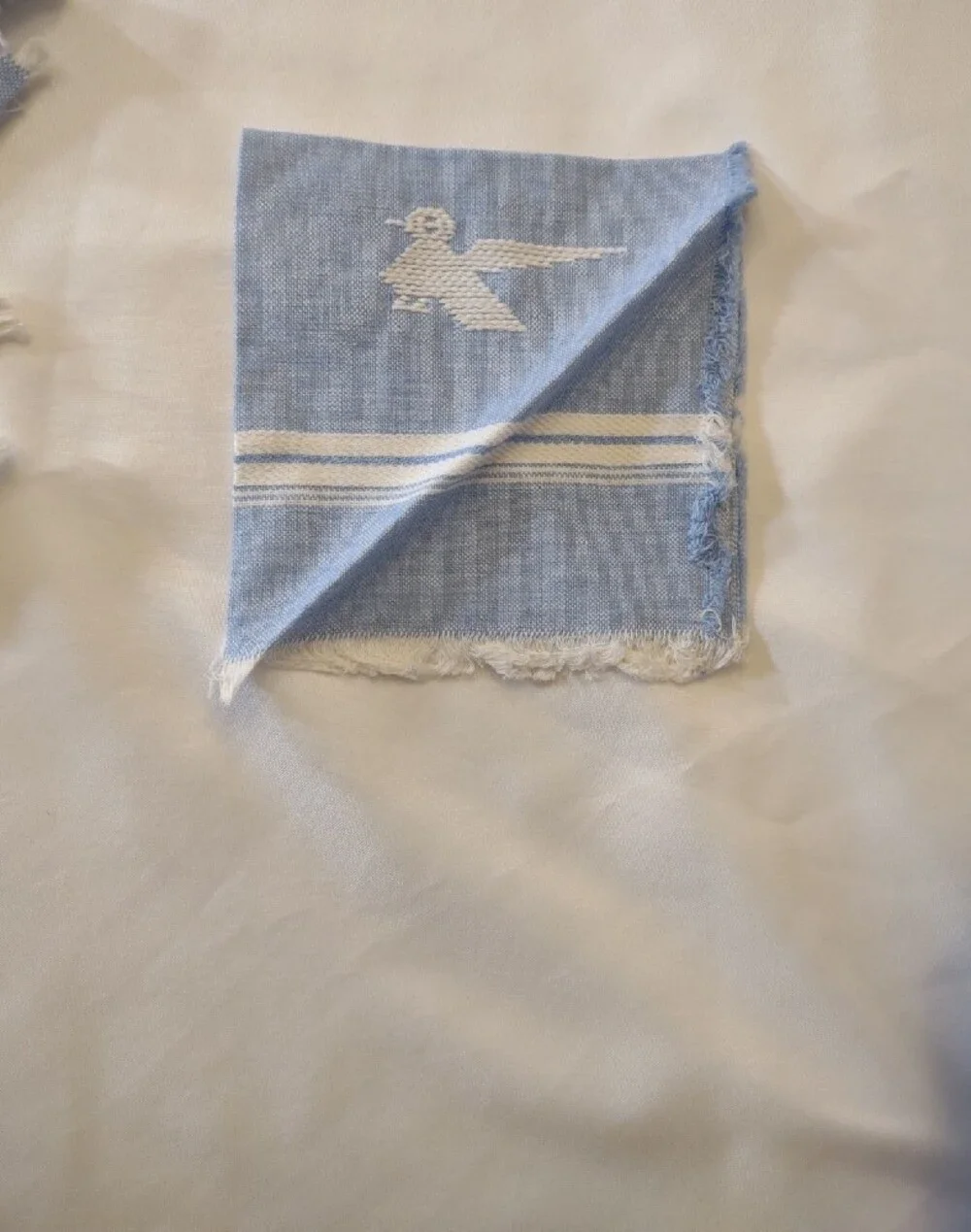 Vintage Hand Woven/Embroidered Lt. Blue Striped Napkin & Table Cloth/Runner Set